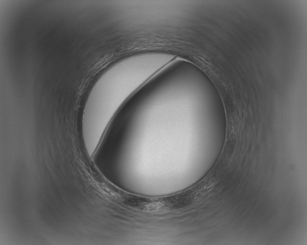 X0000054430309200507290959