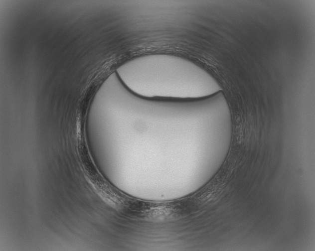 X0000054430310200507290959