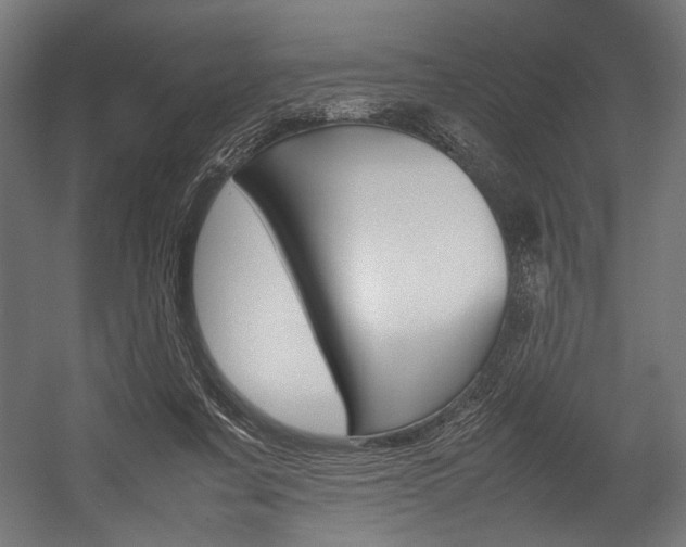 X0000054430311200507290959