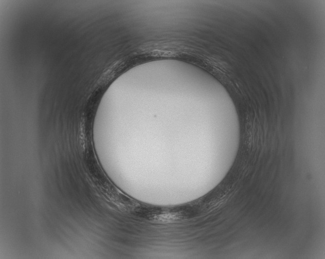 X0000054430312200507290959