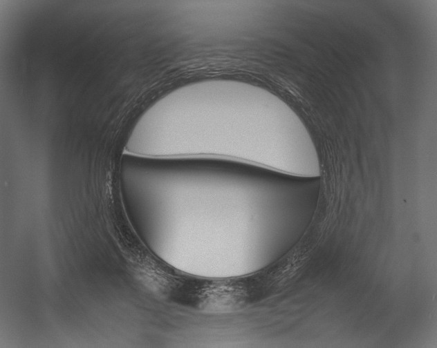 X0000054430315200507290959