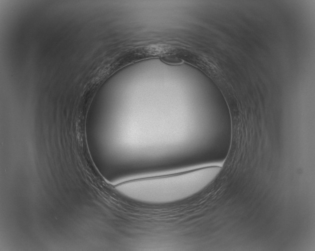 X0000054430317200507290959