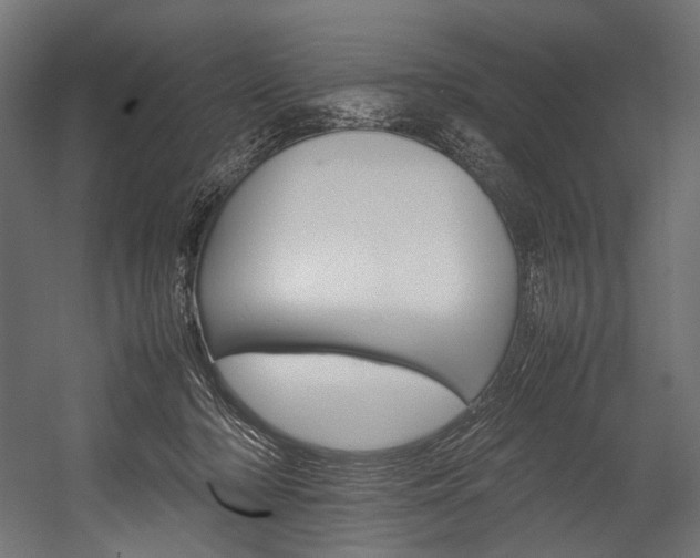 X0000054430318200507290959