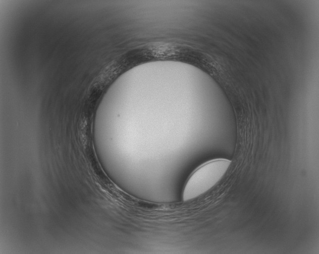 X0000054430319200507290959