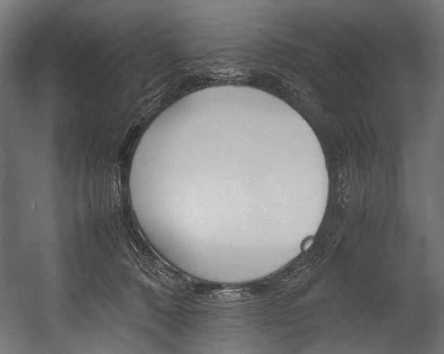 X0000054430320200507290958