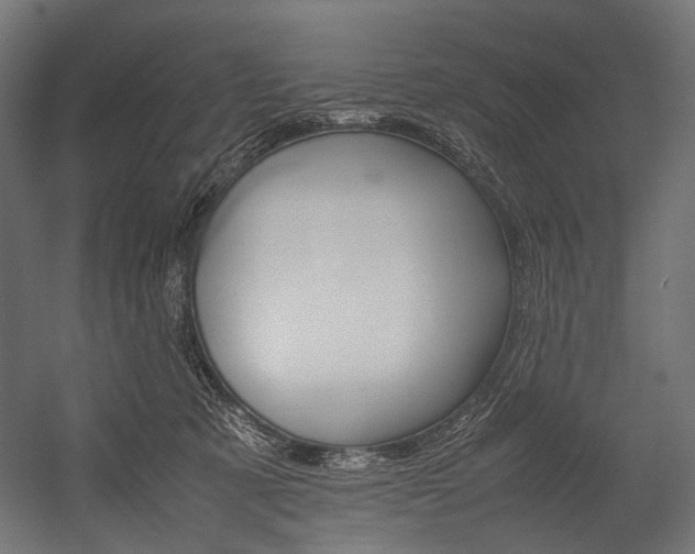 X0000054430321200507290958