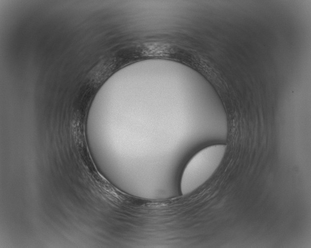 X0000054430322200507290958