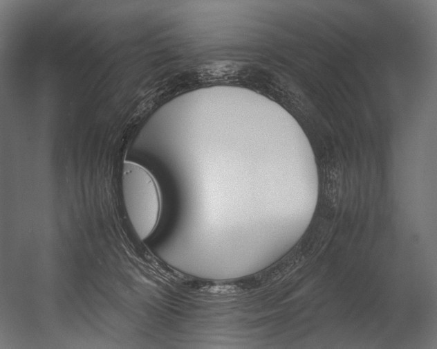 X0000054430324200507290958