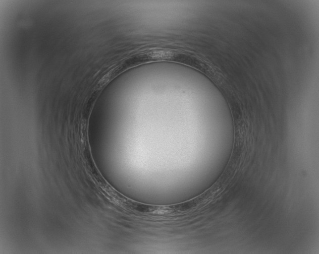 X0000054430325200507290958