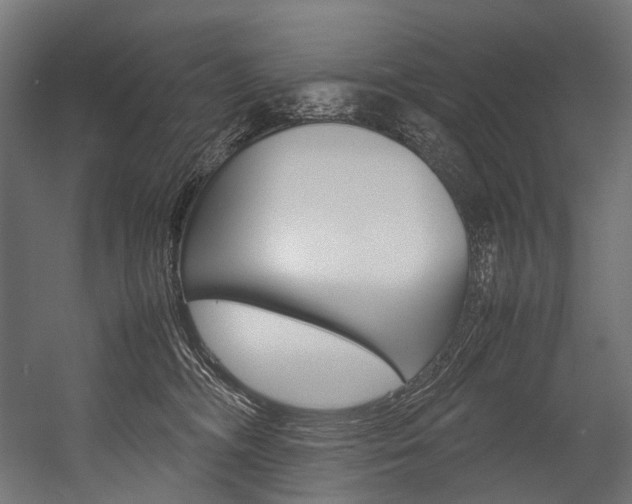 X0000054430326200507290958