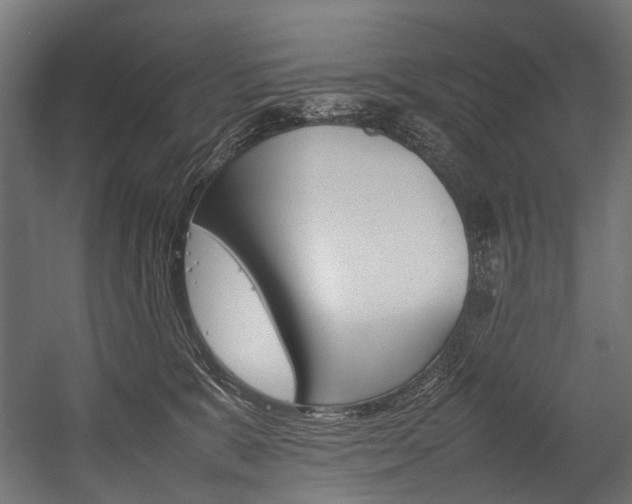 X0000054430327200507290958