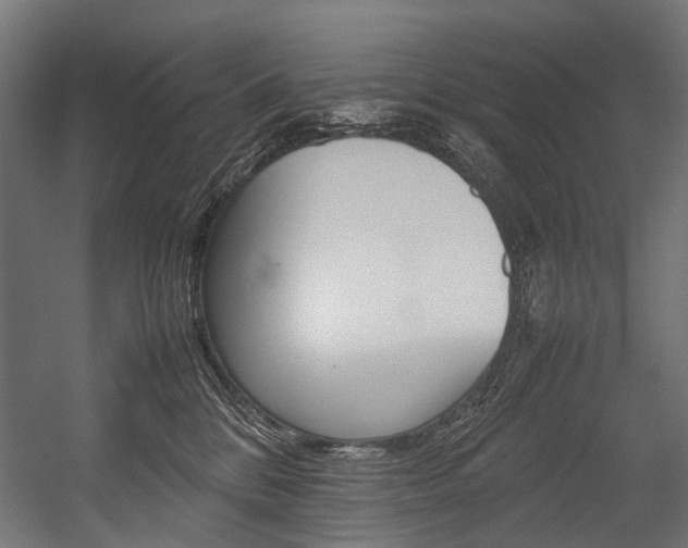 X0000054430328200507290958