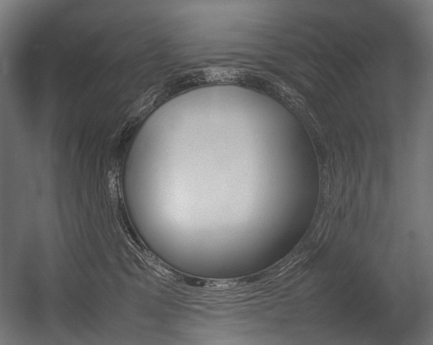 X0000054430329200507290958