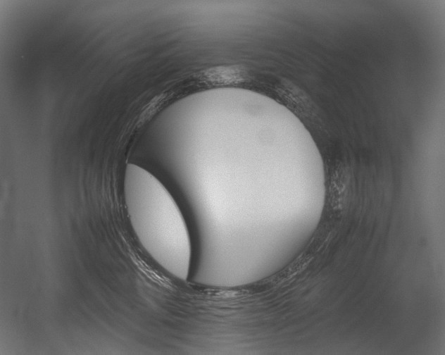 X0000054430330200507290958