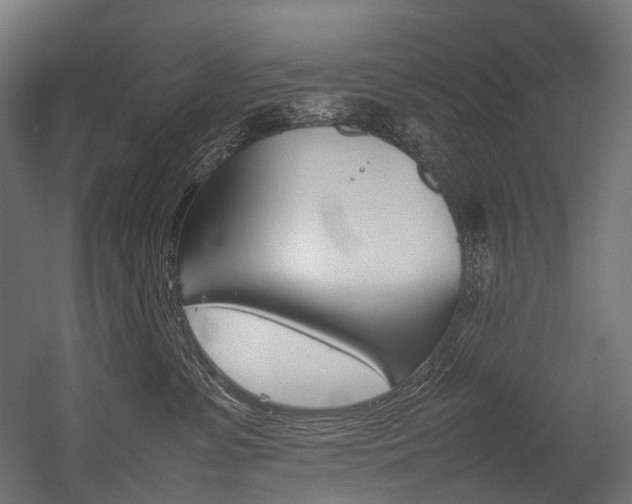 X0000054430331200507290958