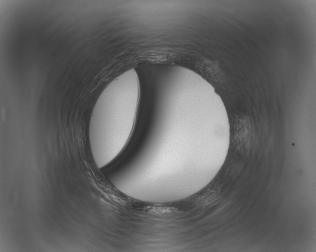X0000054430332200507290958