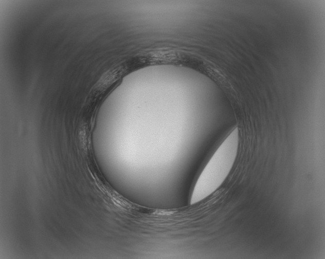 X0000054430333200507290958