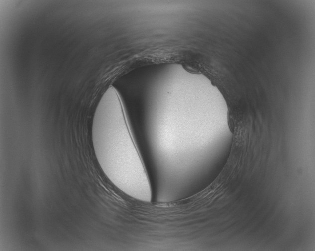 X0000054430335200507290958