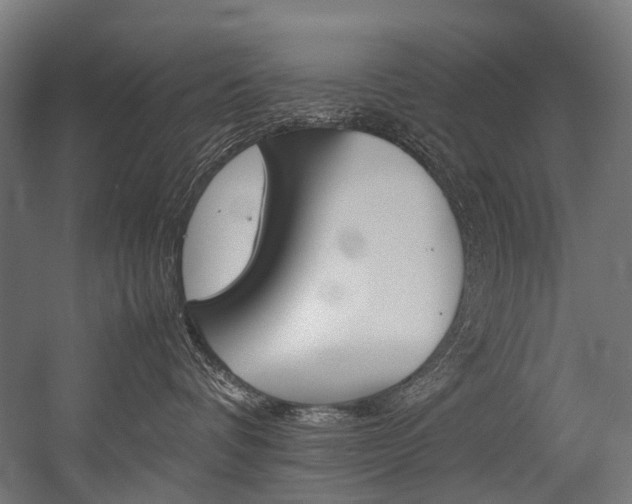 X0000054430336200507290958
