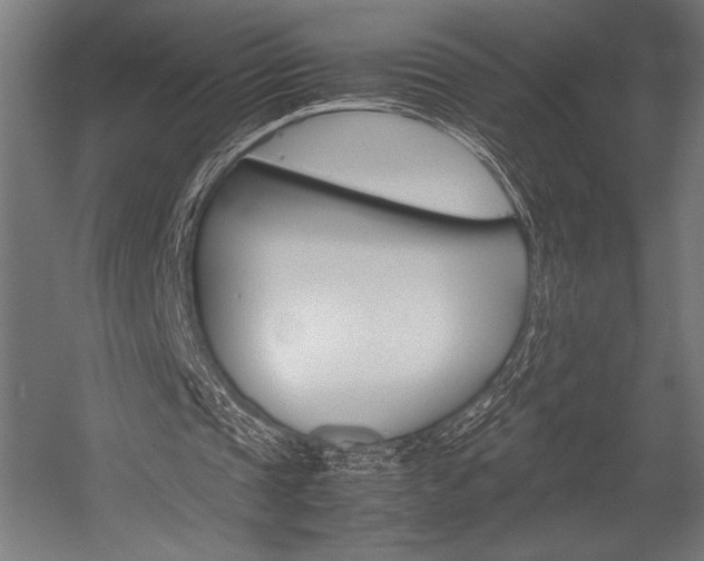 X0000054430337200507290957
