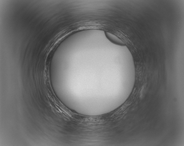 X0000054430338200507290957