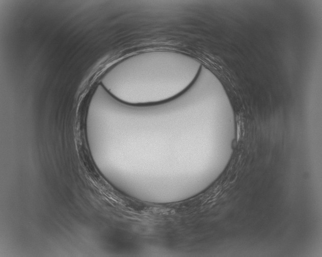 X0000054430339200507290957