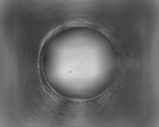 X0000054430340200507290957