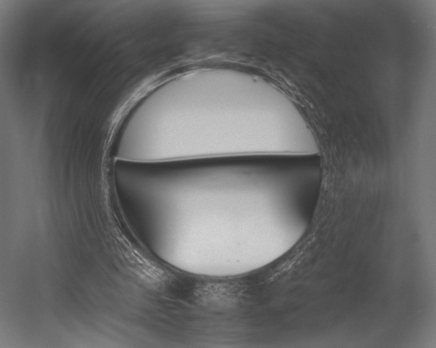 X0000054430341200507290957