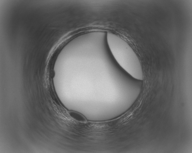 X0000054430343200507290958