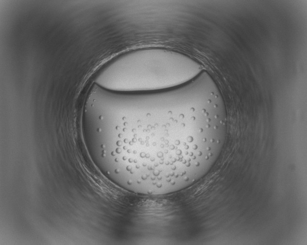 X0000054430346200507290958