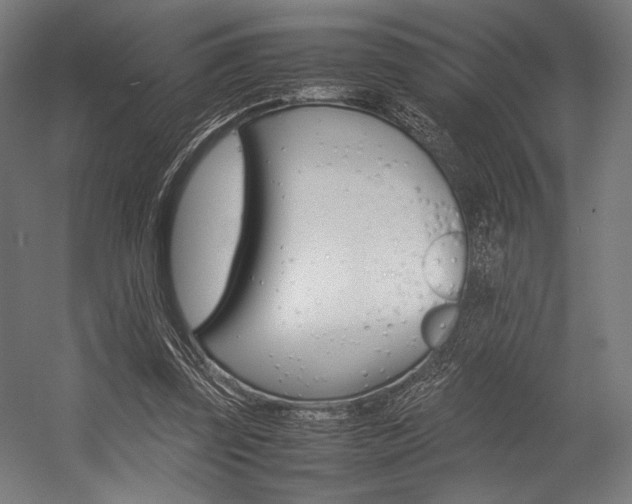 X0000054430347200507290958