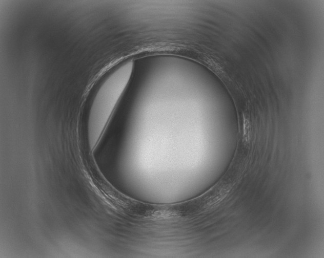 X0000054430348200507290958