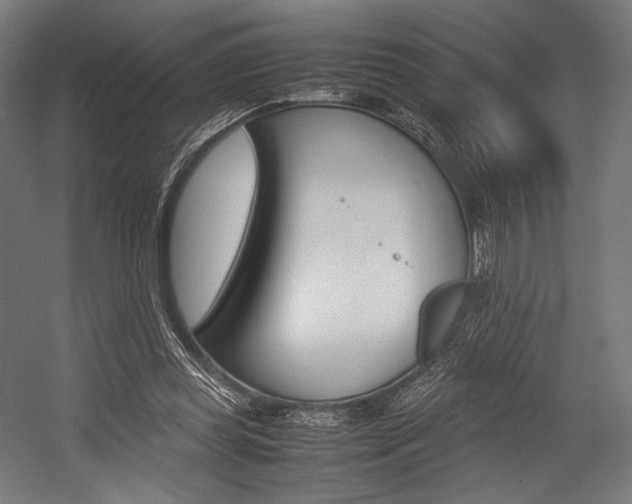 X0000054430349200507290958