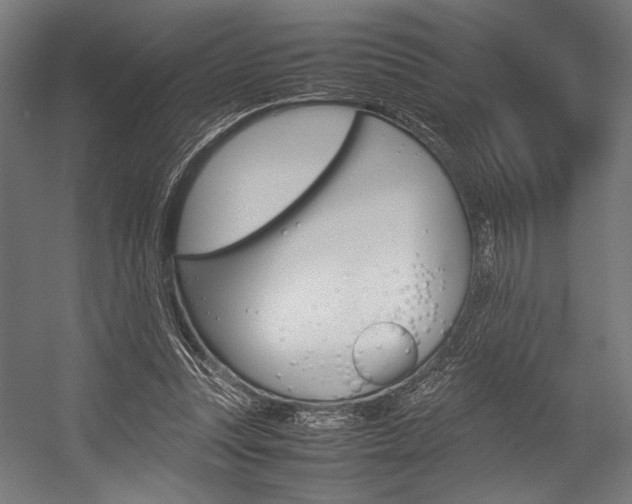 X0000054430351200507290958