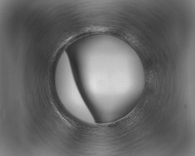 X0000054430352200507290958