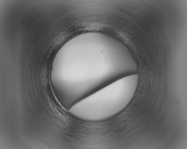 X0000054430354200507290958