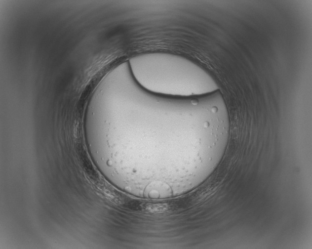 X0000054430355200507290958