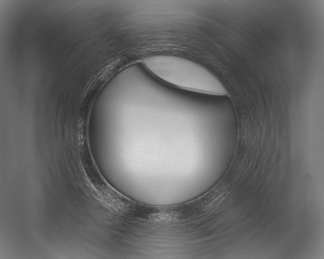 X0000054430356200507290958