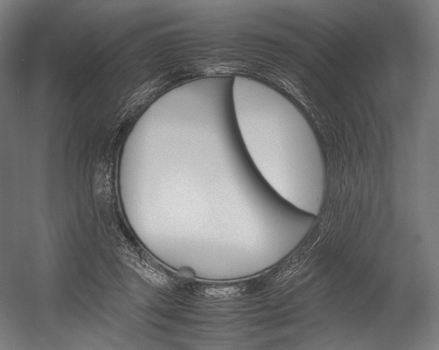 X0000054430357200507290958