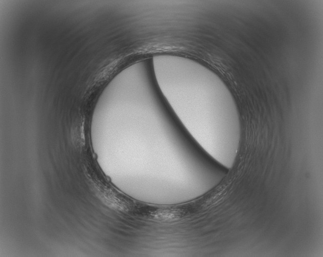 X0000054430358200507290958