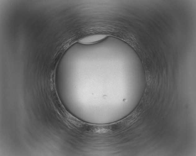X0000054430360200507290958
