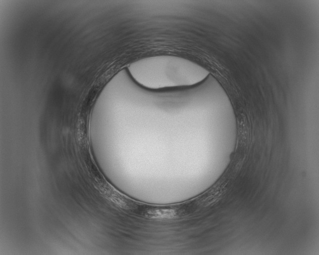 X0000054430361200507290958