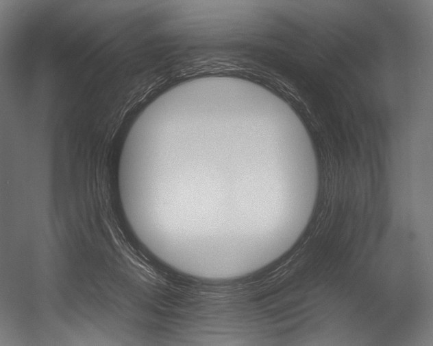 X0000054430362200507290958