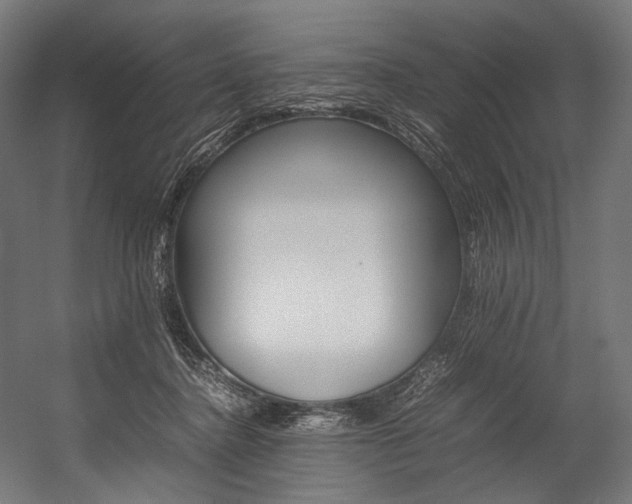 X0000054430364200507290958