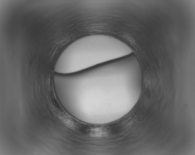 X0000054430365200507290958