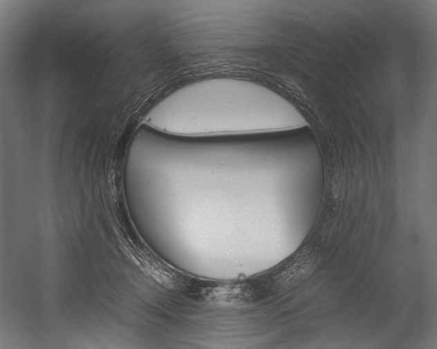 X0000054430366200507290958