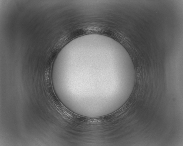 X0000054430369200507290958