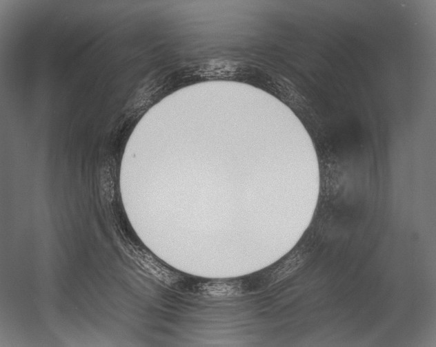 X0000054430370200507290958