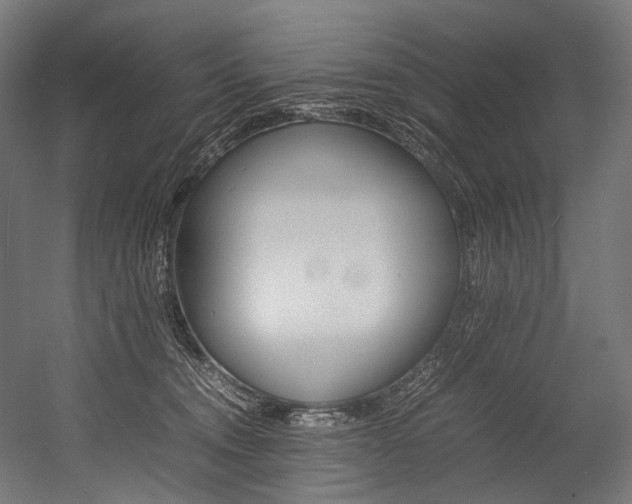 X0000054430372200507290958