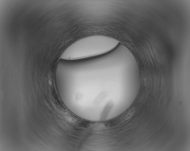 X0000054430374200507290958